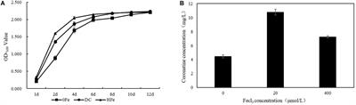 Data-Independent Acquisition Proteomics Unravels the Effects of Iron Ions on <mark class="highlighted">Cor</mark>onatine Synthesis in Pseudomonas syringae pv. tomato DC3000